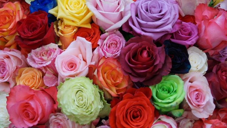 Der diesjährige Valentinstag kann als Mutmacher und positiver Motivator für die Floristik-Branche gewertet werden. Bild: GABOT.