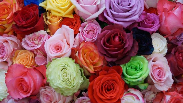 Von 29. Juni bis 1. Juli 2018 fand der Bundeslehrlingswettbewerb der Floristen in Enns, in der ältesten Stadt Österreichs, statt. Bild: GABOT.