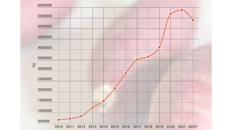 Haben Süßkartoffeln den Peak überschritten? Quelle: Bundesamt für Zoll und Grenzsicherheit BAZG, Swiss Impex.