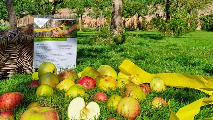 Frisches Obst für alle. Bild ©ZEHN.