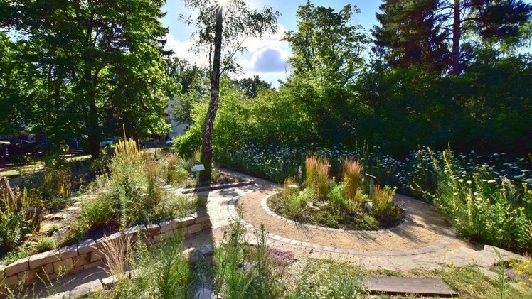 Zahlreiche naturnahe Strukturen wie 80 Meter Trockenmauer, heimische Wildpflanzen und integriertes Totholz machen den PikoPark insbesondere für Insekten interessant. Bild: © Thomas Englisch.