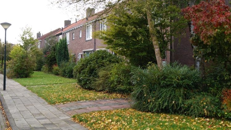 "Investitionen in eine zukunftsfähige grüne Infrastruktur sind Investitionen in unsere Lebensqualität". Bild: GABOT.