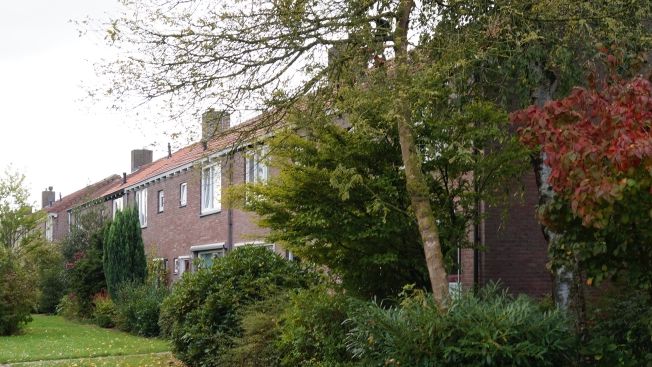 Eine große Rasenfläche ist nicht so gut als Versickerungsfläche geeignet. Bild: GABOT.