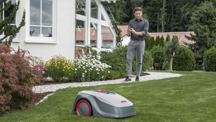 AL-KO Robolinho® 500 W. Bild: AL-KO Gardentech.