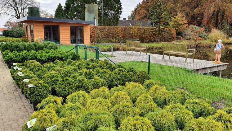 Im Ausbindegarten bei Ehlers können sich Kunden Einzelstücke reservieren. Bild: Ehlers. Im Ausbindegarten bei Ehlers können sich Kunden Einzelstücke reservieren. Bild: Ehlers.