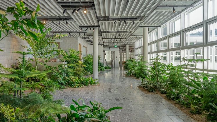 Mit "The Green Lane" wurde bei Holcim in der Schweiz eine Miniaturlandschaft im Gebäudeinneren geschaffen. Bildnachweis: Marcel Meier.