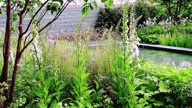 Auch private Gärten sind ein entscheidender Teil der Grünen Infrastruktur. Bild: VGL NRW/GPP.