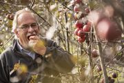 Markus Kobelt, Gründer und Geschäftsführer von Lubera. Bild: Lubera.