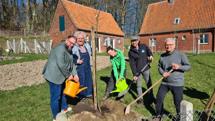 Pflanzung des "Apfel des Jahres" in Norddeutschlands 2025 am 3.4. im Freilichtmuseum am Kiekeberg, v. l.: S. Zimmermann, E. Brandt, N. Kolter, U. Kubina und M. Schuh. Bild: FLMK.