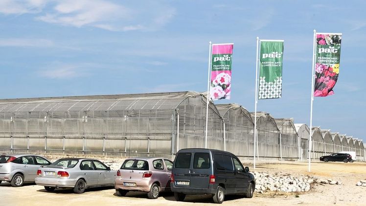 Elsner pac setzt verstärkt auf den Südbetrieb in Portugal. Bild: Elsner pac. Elsner pac setzt verstärkt auf den Südbetrieb in Portugal. Bild: Elsner pac.