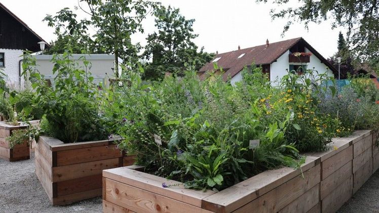 Wiler Tag mit Programm auf der Landesgartenschau. Bild: Wangen.