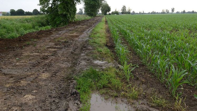 Ein neuer Praxisleitfaden zeigt Maßnahmen auf, die den verheerenden Folgen von Starkregen und Trockenheit entgegenwirken.Bild: DVL.