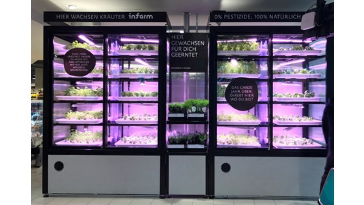 Infarm wurde 2013 in Berlin von Osnat Michaeli und den Brüdern Erez und Guy Galonska gegründet und hat es sich zur Aufgabe gemacht, eine Zukunft zu schaffen, in der lokale und besonders frische Produkte für jedermann erhältlich sind. Bild: infarm.