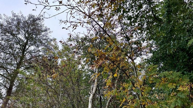 In der Gesamtbilanz war der September nicht nur ungewöhnlich warm, sondern im Süden auch außergewöhnlich sonnig und im Südwesten extrem niederschlagsarm. Bild: GABOT.