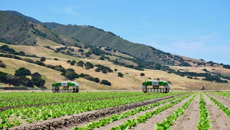 Naïo Technologies feiert bereits sein 10-jähriges Jahr seines Bestehens. Bild: Naïo Technologies. 