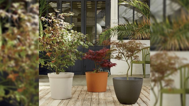 Element - zeitlos schön. Bild: Poétic.