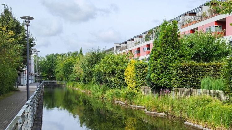 Insgesamt ist die Weiterentwicklung der grün-blauen Infrastruktur im bevölkerungsreichen und hochverdichteten NRW ein zentrales Thema für den Garten- und Landschaftsbau. Foto: VGL NRW.
