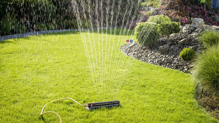 Die beste Zeit für die Bewässerung sind die frühen Morgenstunden: Dann nehmen die Halme die Feuchtigkeit gut auf und die Verdunstung ist vergleichsweise gering. Besonders nachhaltig ist es, wenn man fürs Gießen Regenwasser verwendet, das man in Tonnen oder Zisternen gesammelt hat. Bild: Hauert Manna.