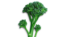 Bimi® Brokkoli ist eine ganz besondere Brokkoli-Sorte mit langem, saftigem Stiel. Er hat einen unverwechselbar milden, leicht nussigen Geschmack, ist herrlich knackig und kann im Ganzen verzehrt werden. Bild: Bimi® Brokkoli.