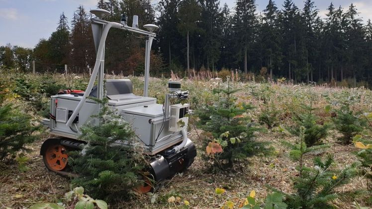 Ein Roboter soll eine nachhaltigere Aufzucht von Weihnachtsbäumen ermöglichen. Bild: Dr.-Ing. Klaus Müller/ Universität Siegen (EZLS).