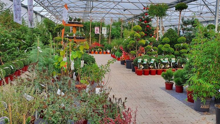 Moderne Winterausstellung bei Helmers. Bild: Helmers.