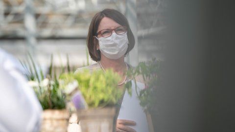 Kunststoffvermeidung im Gartenbau. Bild: © HMUKLV.