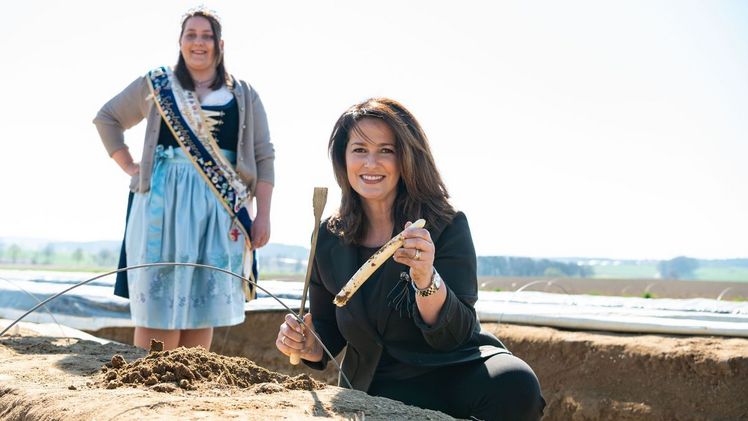 Bayern Landwirtschaftsministerin Kaniber bei der Spargelernte. Foto: StMELF/Judith Schmidhuber.