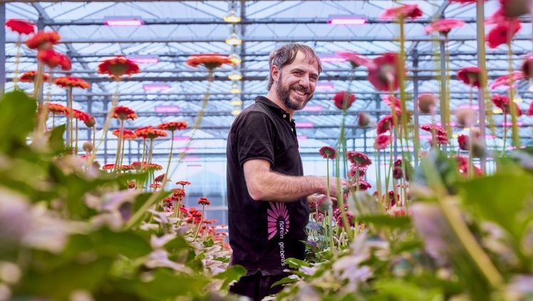 Reinier Zuidgeest, Direktor/Eigentümer von Florein Gerbera. Bild: Signify.