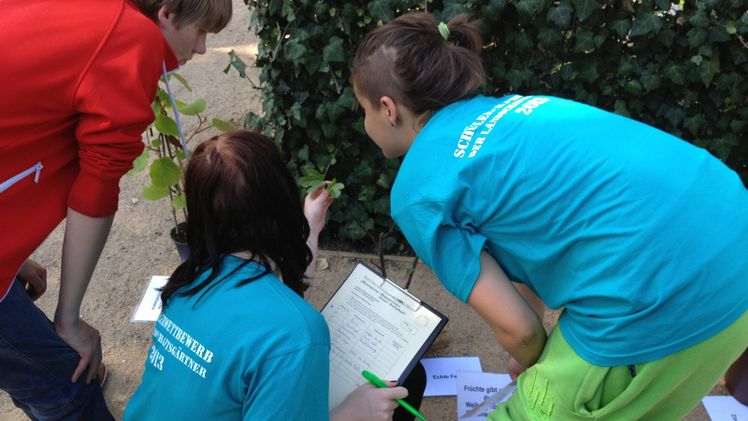 Bei einem Praktikum können die ersten Pflanzenkenntnisse gemeinsam getestet werden. Foto: AuGala. 