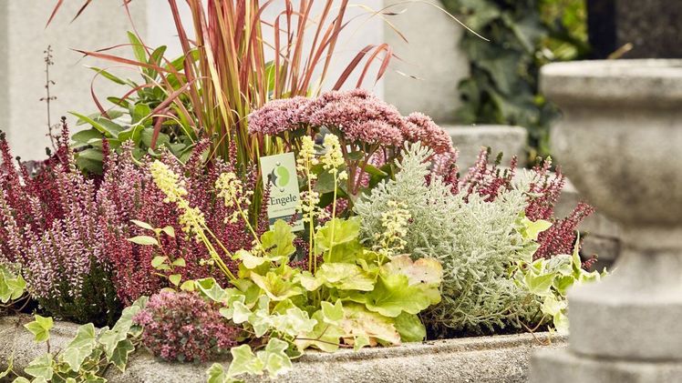 Allerheiligen 2018: Individueller Grabschmuck liegt im Trend. Bild: Blumen Engele/C&G Fotography, Gerhard Donauer. 
