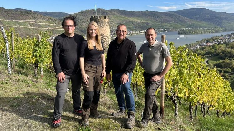 Unternehmenssprecher Andreas Jöckel, Marketing-Managerin und Winzerin Sarah Hulten, Geschäftsführer Sven Stimac und Partnerwinzer Jochen Ratzenberger freuen sich über die Weinlese 2022. Bild: © BUGA 2029.