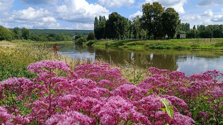 "Die Bedeutung der grün-blauen Infrastruktur für Städte und Gemeinden ist wichtiger denn je", so Benjamin Küsters, Präsidiumsmitglied im VGL NRW. Foto: Landesgartenschau Höxter 2023 gGmbH. "Die Bedeutung der grün-blauen Infrastruktur für Städte und Gemeinden ist wichtiger denn je", so Benjamin Küsters, Präsidiumsmitglied im VGL NRW. Foto: Landesgartenschau Höxter 2023 gGmbH.