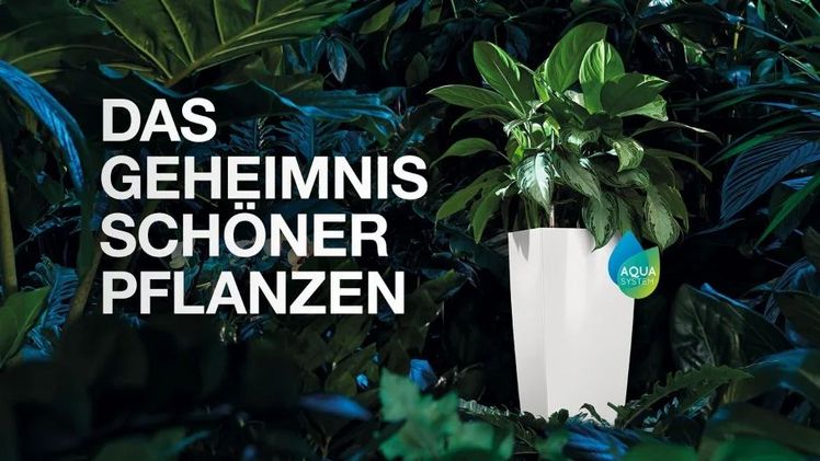 Multimediale Werbekampagne von LECHUZA - "Das Geheimnis schöner Pflanzen".