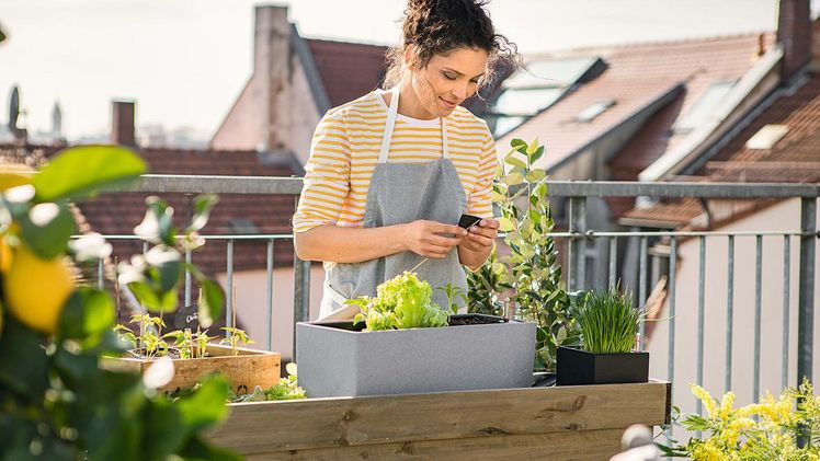 Die Begrünung des eigenen Zuhauses ist der perfekte Ausgleich zu Home-Office und Co. Bild: LECHUZA.