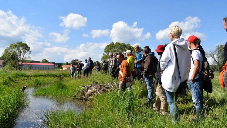 Sebastian Stang, Bürgermeister von Grebenhain, Diplom Forstwirt und Forstassessor, sowie zertifizierter Baumkontrolleur und berichtete von den Maßnahmen zur Gewässerrenaturierung und deren Auswirkungen auf die hiesige Infrastruktur.  Bild: FgB/Cremer.