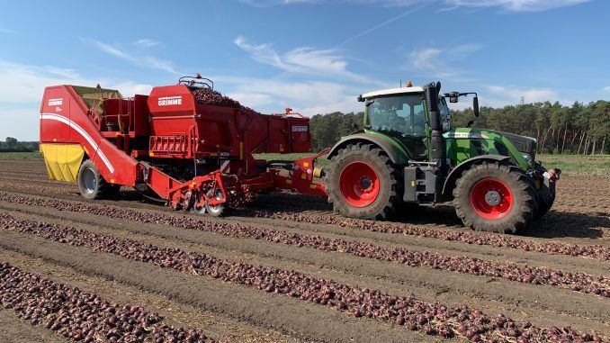 Zufriedenstellender Ertrag und gute Qualität durch trockene Erntebedingungen. Bild: LPD.