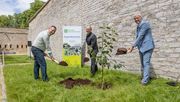 Torsten Weil hat gemeinsam mit Andreas Bausewein und Ulrich Haage zum Spaten gegriffen und gepflanzt. Bild: Gartenbaumuseum/ Paul-Philipp Braun.