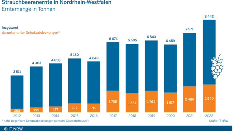 Strauchbeerenernte 2022 in NRW. Bild: IT.NRW.