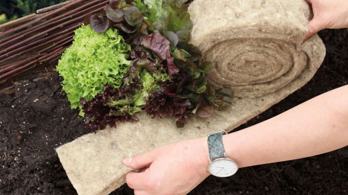 Mit Schafwolle bringt Videx Garden ein Produkt auf den Markt, das Einfachheit, Wirksamkeit und Nachhaltigkeit vereint. Bild: Videx Garden GmbH & Co. KG.