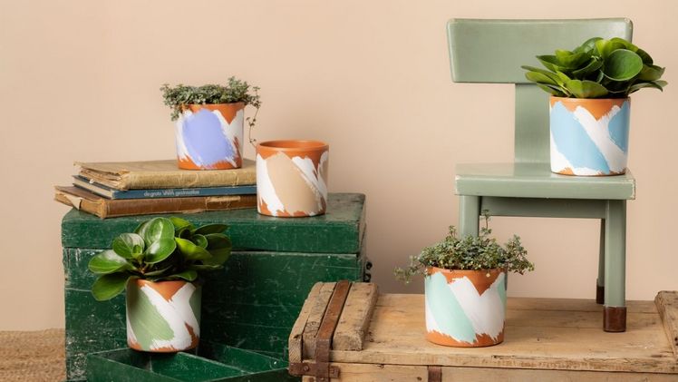 CERA GOOD Stimmungsbild MA 2004 Linie. Bild: Van der Sar Import.