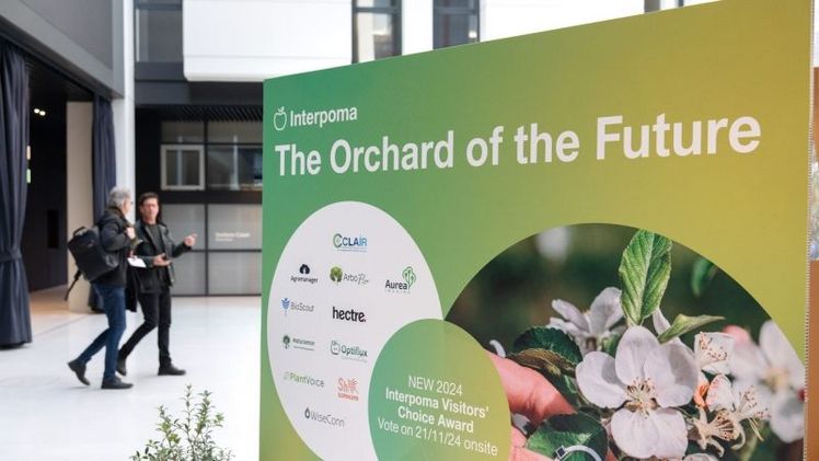 Orchard of the Future. Bild: Marco Parsi, Interpoma.