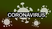 Die Coronavirus-Einreiseverordnung vom 30. Juli 2021 regelt bundesweit einheitlich die Anmelde-, Nachweis- und Quarantänepflicht sowie das Beförderungsverbot aus Virusvariantengebieten. 