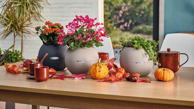 Auch auf dem Tisch darf es im Herbst bunt zugehen. Zahlreiche Inspirationen für eine kreative Herbsttafel findet man in der Natur: Augen auf beim nächsten Spaziergang, denn hier findet man die besten Materialien für den Tischschmuck! Bild: LECHUZA.