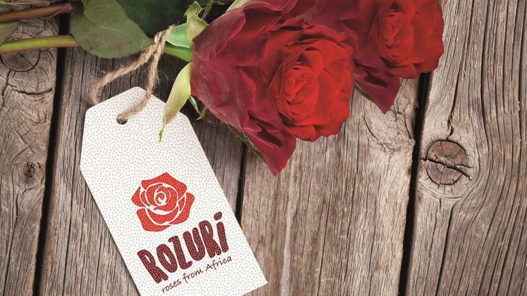 Rozuri 'roses from Africa' steht für ein neues, farbenfrohes Label für afrikanische Rosen. Bild: Dümmen Orange.