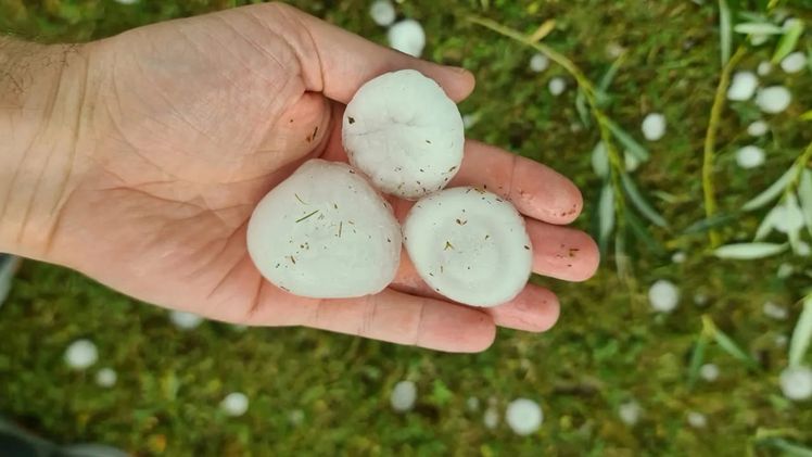 Hagelschlosse vom 30.06.2024. Bild: Österreichische Hagelversicherung.