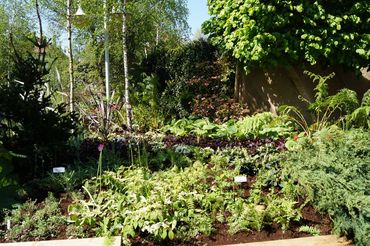 Impressionen von der RHODO 2023. Bild: GABOT.