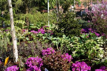 Impressionen von der RHODO 2023. Bild: GABOT.