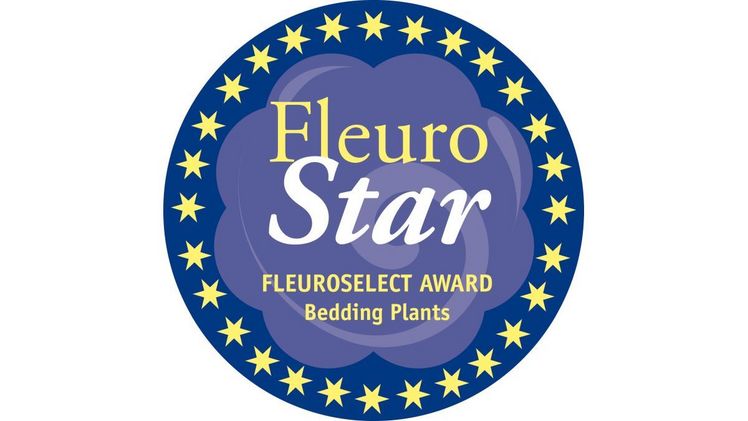 Fünf fantastische Pflanzen bewerben sich um FleuroStar 2020.