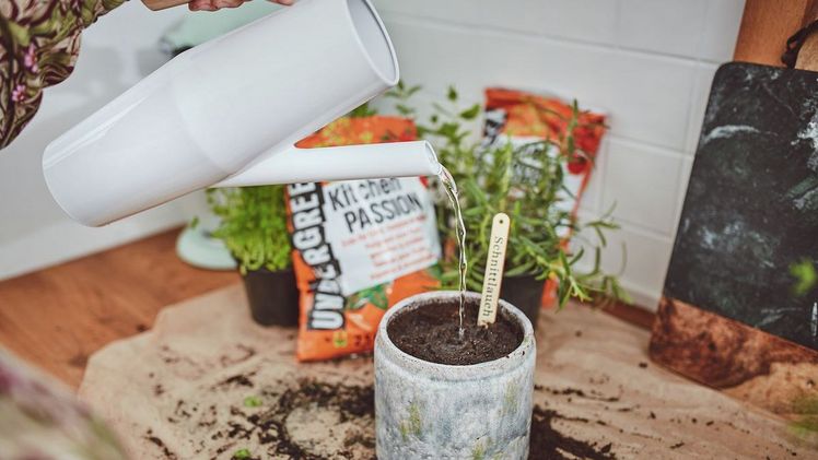 Die neue Rundumpflege für Obst-, Gemüse- und Kräuterpflanzen. Bild: Compo.