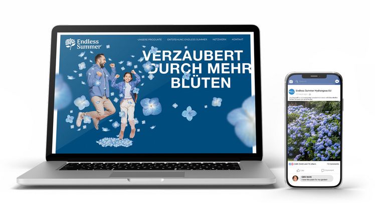 Neue Website und Social-Media-Account von Endless Summer®. Bild: zu Jeddeloh.